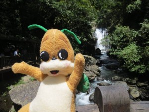 chuck at waterfall